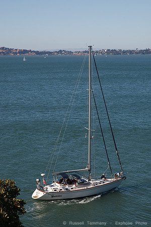 1D3_9699