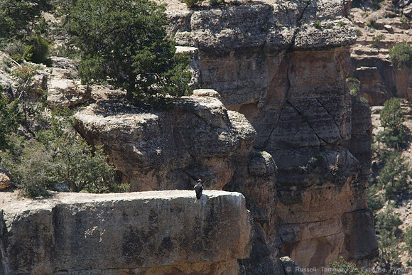 Grand Canyon NP