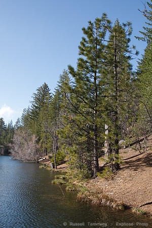 Letts Lake