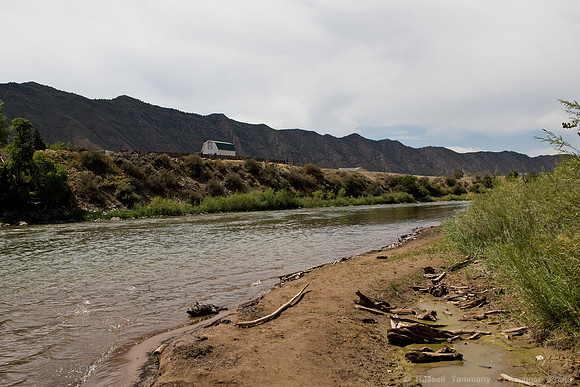 1D3_0100_raw