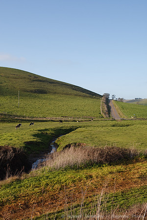 1D3_3390