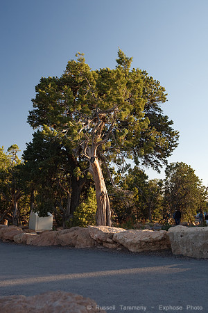Grand Canyon Evening