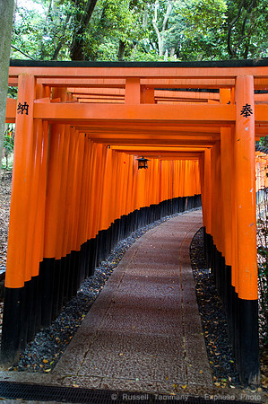 Fushimi Inari Shrine - Kyoto, JP