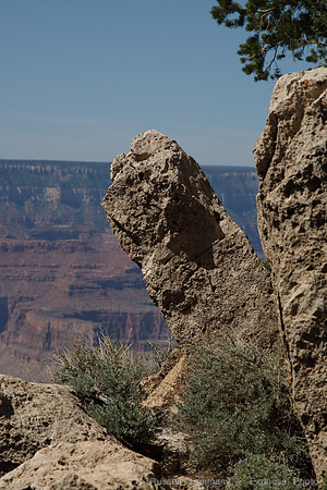 Grand Canyon NP