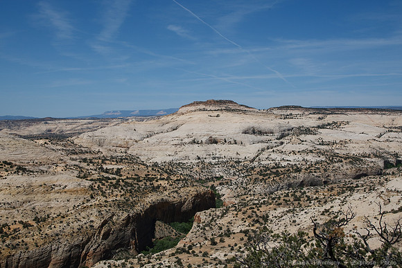 Hwy 12, UT Between Torrey and Escalante