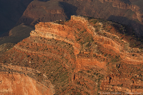 Grand Canyon NP