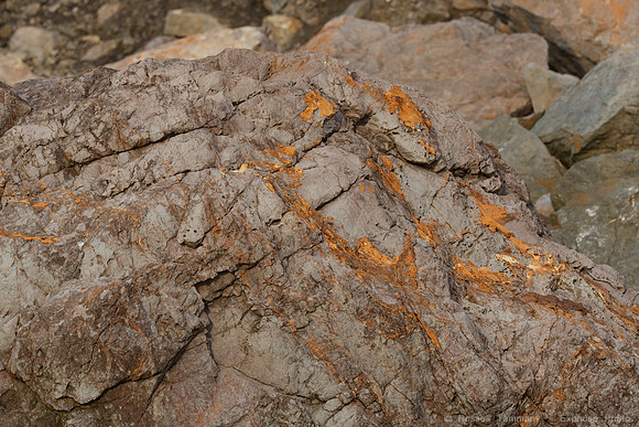 1D3_2992