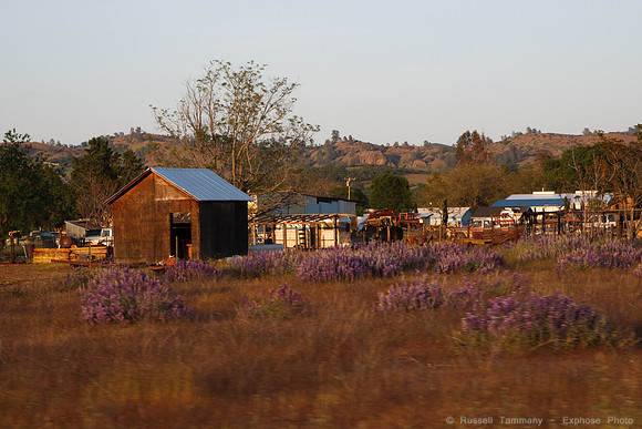 Stonyford / Fouts Springs Area