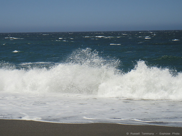 DSC00457