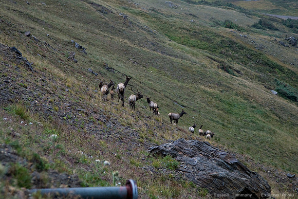 1D3_0305_raw