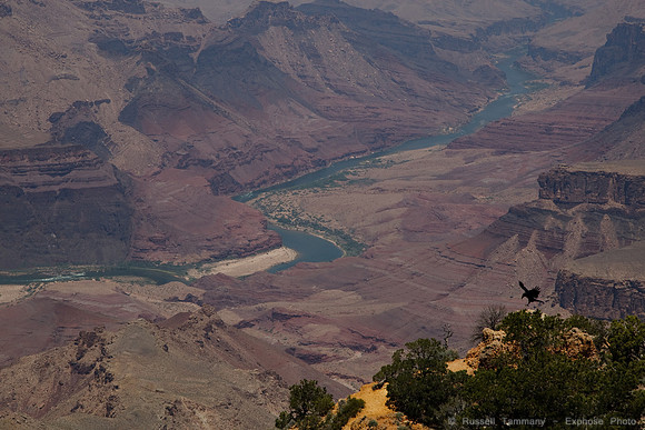 Grand Canyon Watchtower