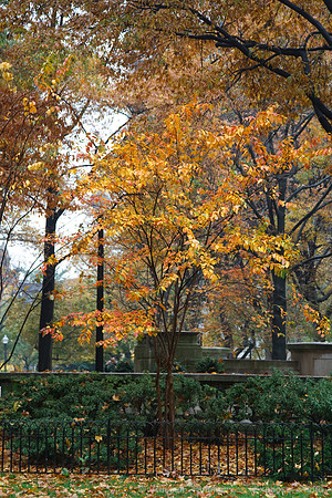 Rittenhouse Square