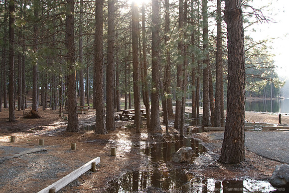 Letts Lake