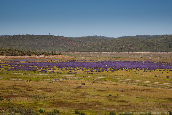 Bartlett Springs Rd/ Indian Valley Reservoir