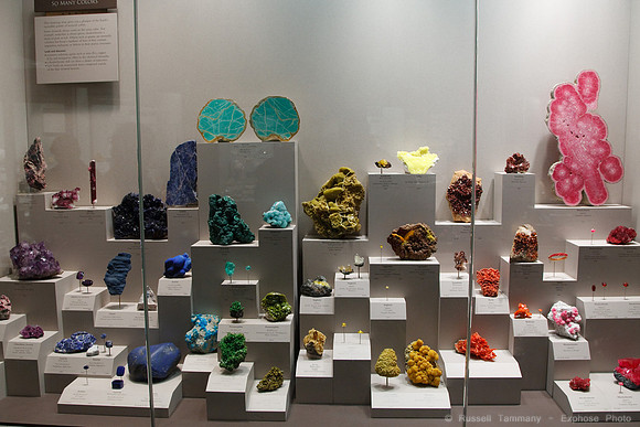 National Museum of Natural History