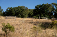 DSC06204