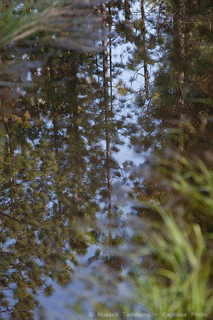 Letts Lake