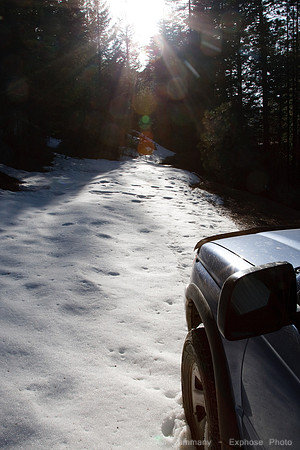 Forest Service Road, Mendocino