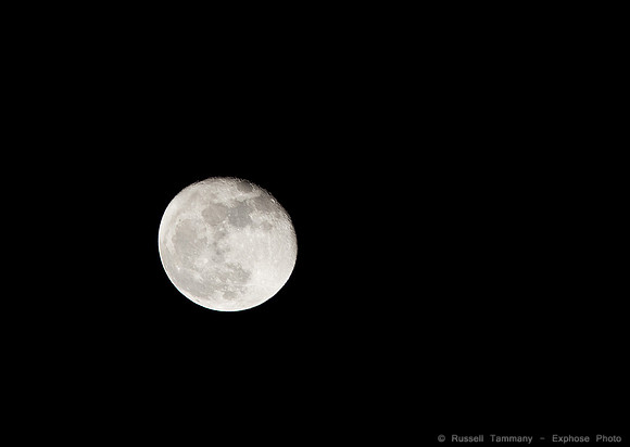 Canon 300mm F4 L IS w. 1.4x TC at 420mm F8