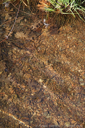 Letts Lake