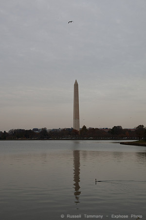 Washington Monument