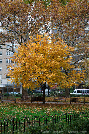Rittenhouse Square
