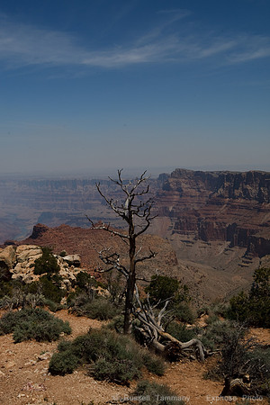 Grandview Grand Canyon