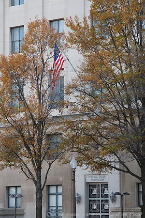 Washington D.C.