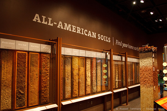 National Museum of Natural History