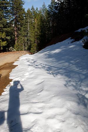 Forest Service Road, Mendocino