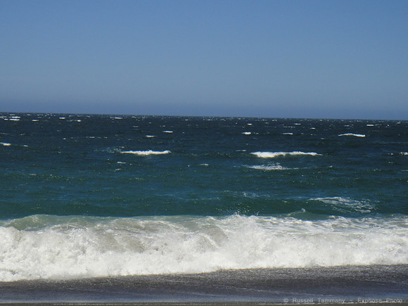 DSC00455