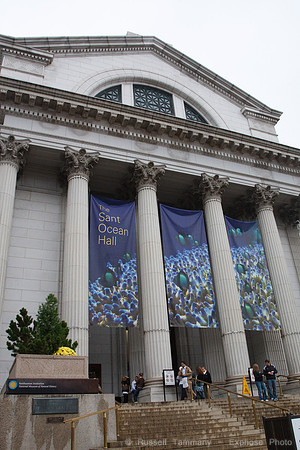 National Museum of Natural History