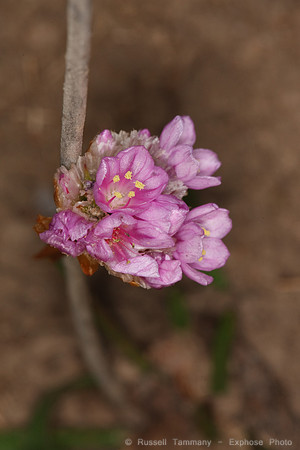 1D3_3176
