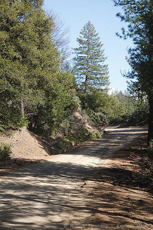 Letts Valley Rd