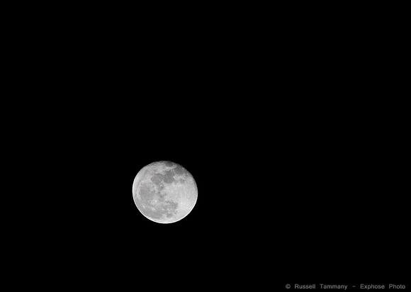 Canon 300mm F4 L IS at 300mm F8