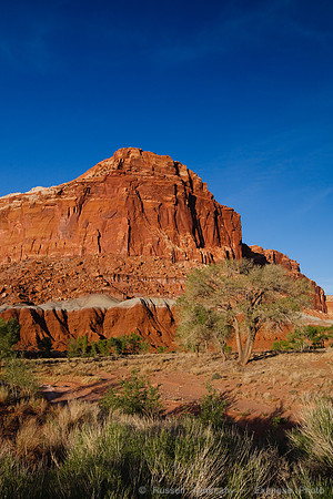 Capitol Reef NP