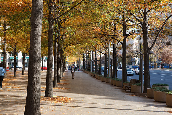 Washington D.C.