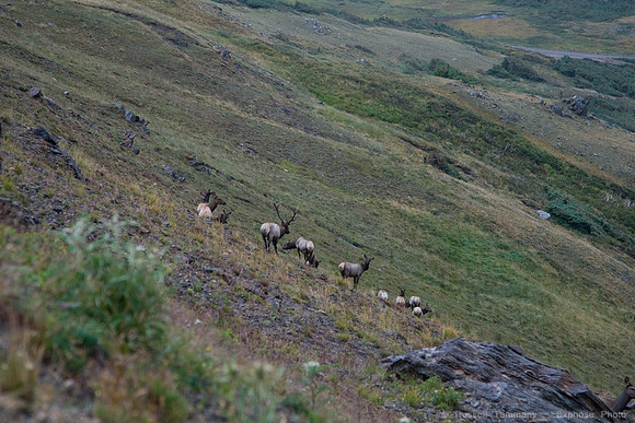 1D3_0313_raw