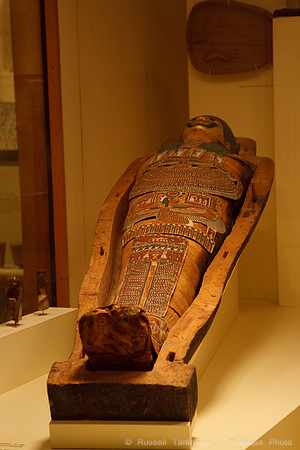 National Museum of Natural History