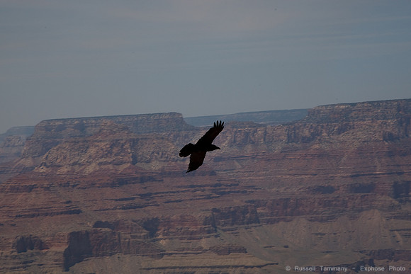 Grand Canyon Watchtower