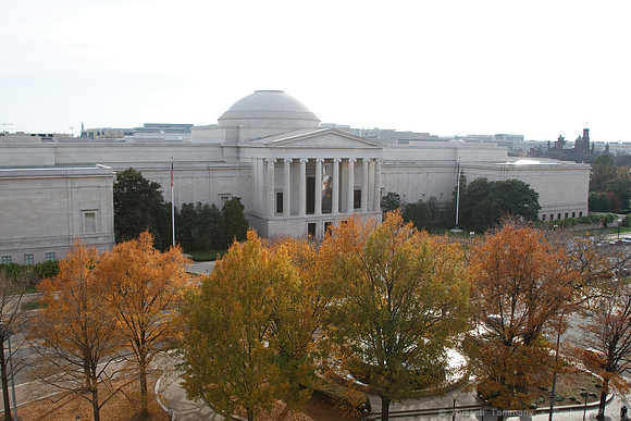 Washington D.C.