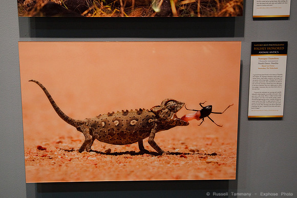 National Museum of Natural History