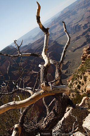 Grand Canyon NP